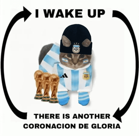 Cat Argentina Wake Up Coronación