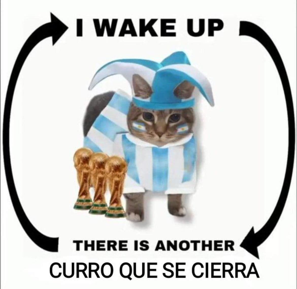 Argentina Trophy Cat Wakes Up to Another Scam