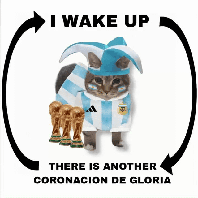 Cat Celebrates Argentina's World Cup Glory