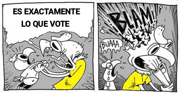 It's Exactly What I Voted For Monster
