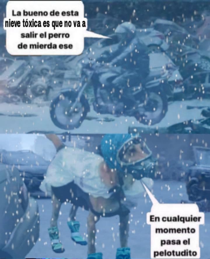 Toxic Snow Fails To Keep Annoying Dog Inside