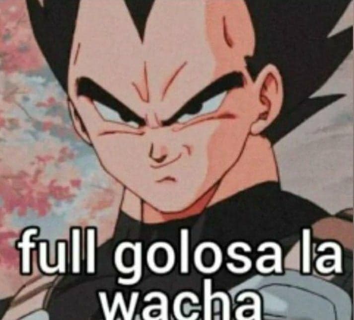 Vegeta Goes Full Argentine Slang Mode