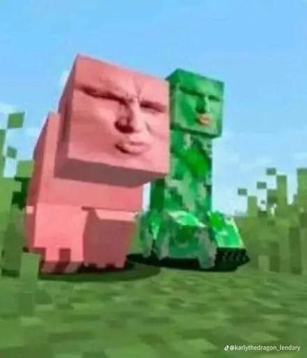 Cursed Minecraft Pig With a Human Face