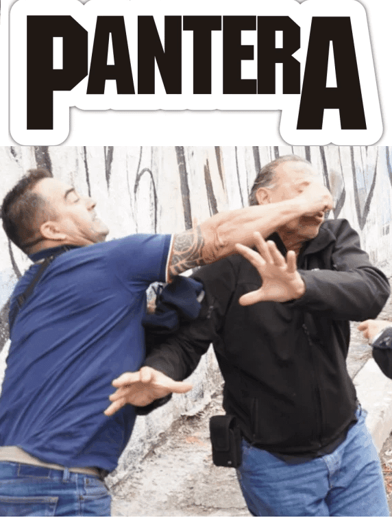 Pantera Logo Lands Perfectly Above This Fight