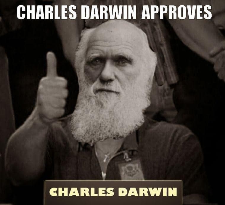 Darwin Approves Thumbs Up