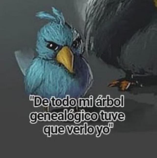 Sad Bird Stuck Witnessing This Family