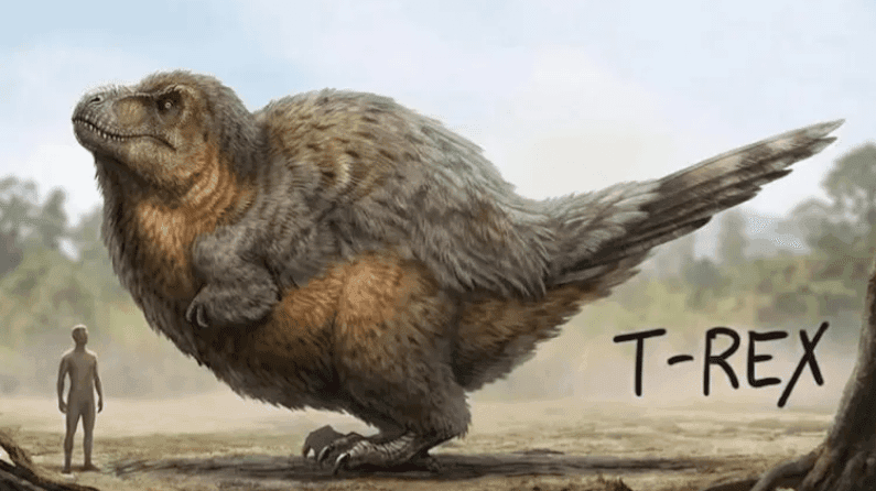 Accurate Feathered T-Rex Is Bigger Than You Think