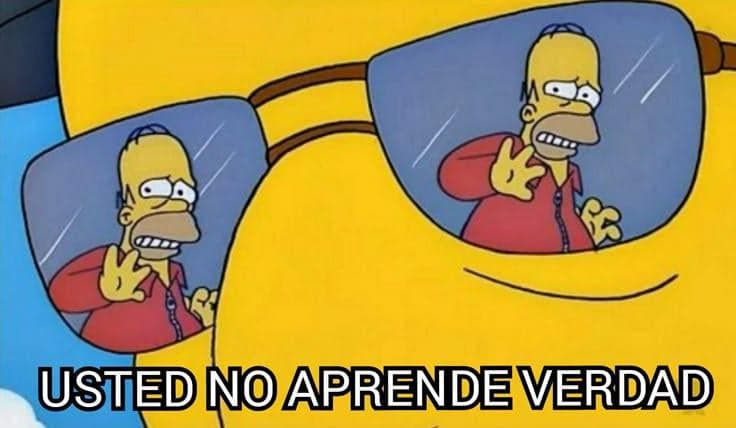 Homer In Shades Says You Never Learn