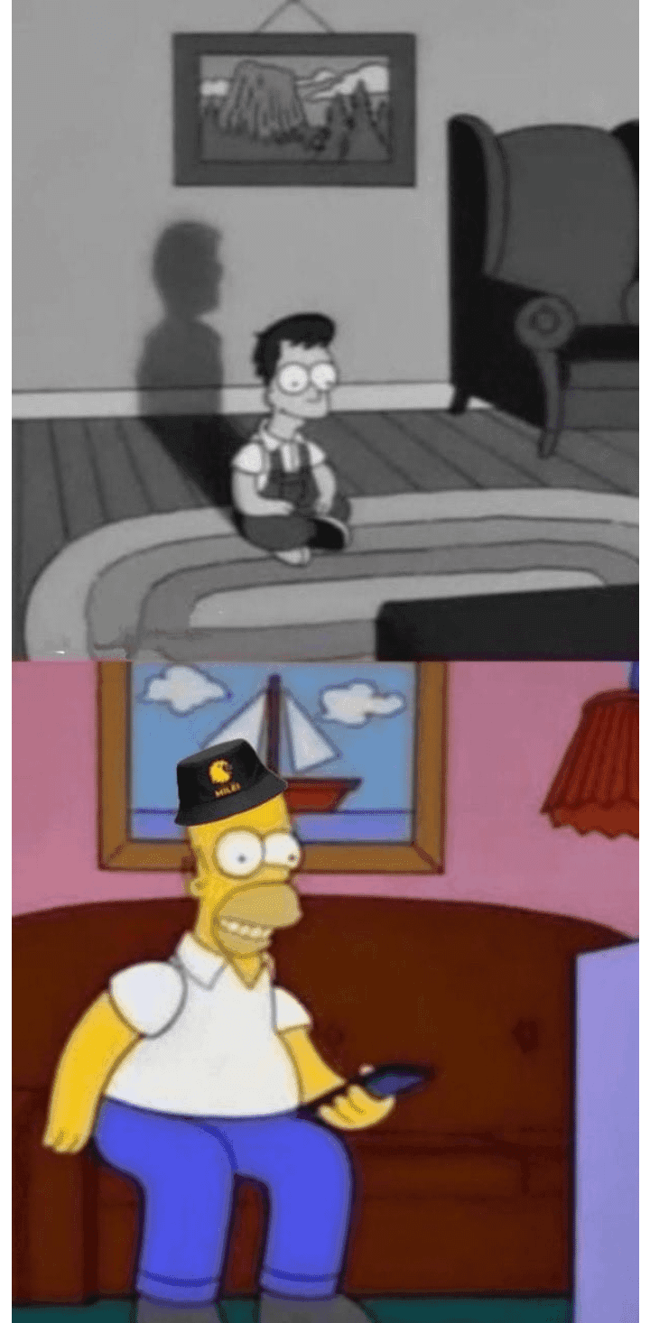 Young Homer vs Adult Homer in Milei Hat