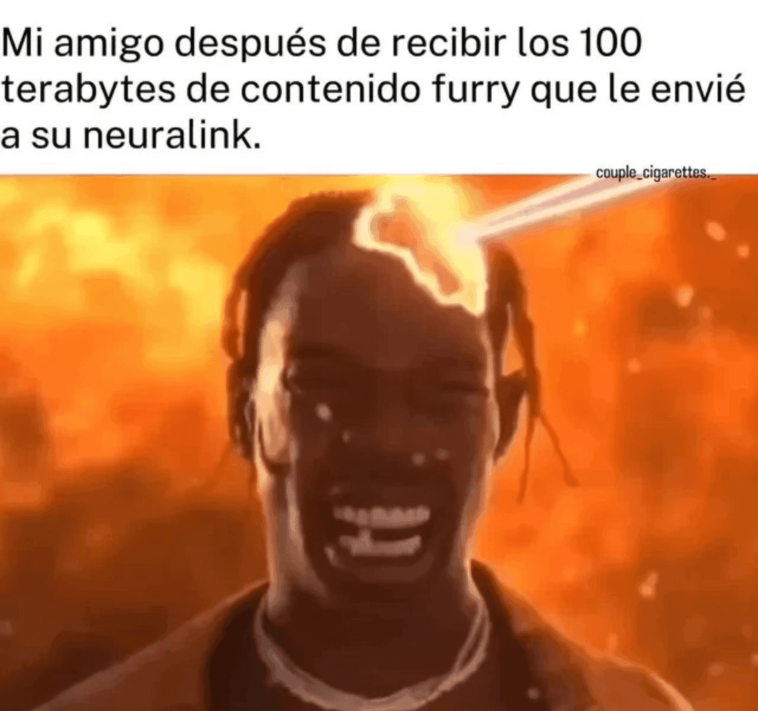 Sending 100TB of Furry Content to Your Neuralink