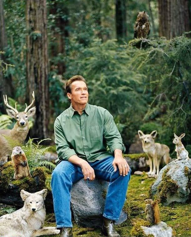 Arnold Schwarzenegger With Animals