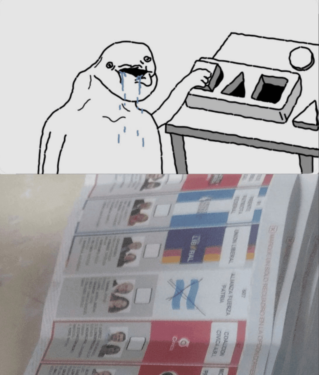 Crying Wojak Reading Ballot